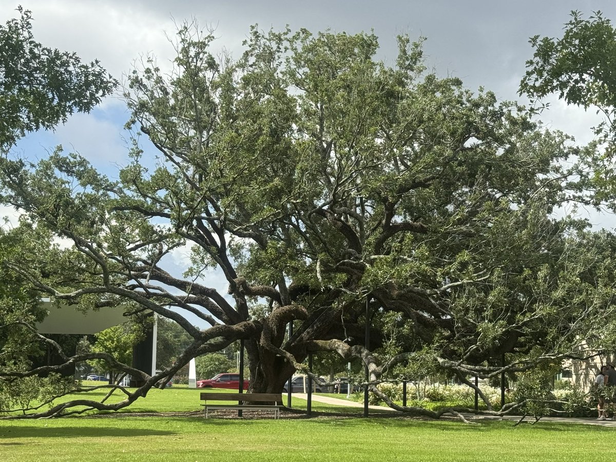 Gloam (@jen3nfer) on Twitter photo 