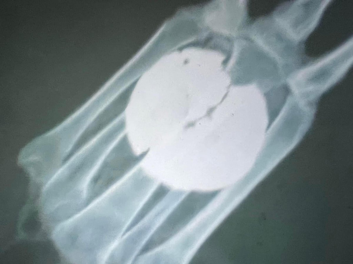 johnallanmoody's tweet image. #johnmoody