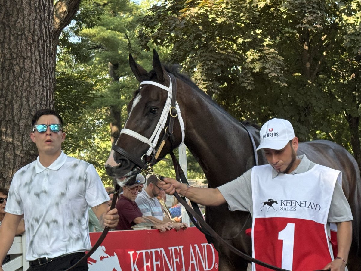 Margie’s Intention
#Alabama