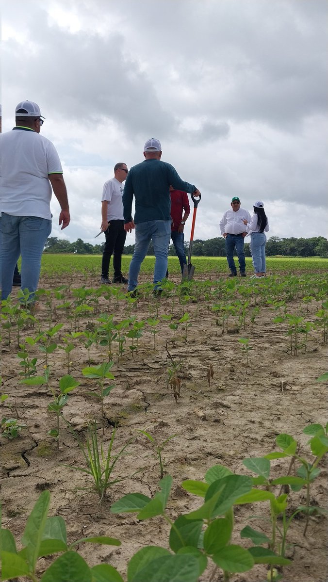 Se viene una EXPO DINÁMICA para enseñar el potencial de crecimiento y desarrollo que tiene el sector agropecuario.
Este miércoles 3 de setiembre agenda un tiempito y date un gusto viendo lo que nadie te muestra.

Sí, es posible ser productivo en Venezuela.
<a href="/aapresid/">Aapresid</a>