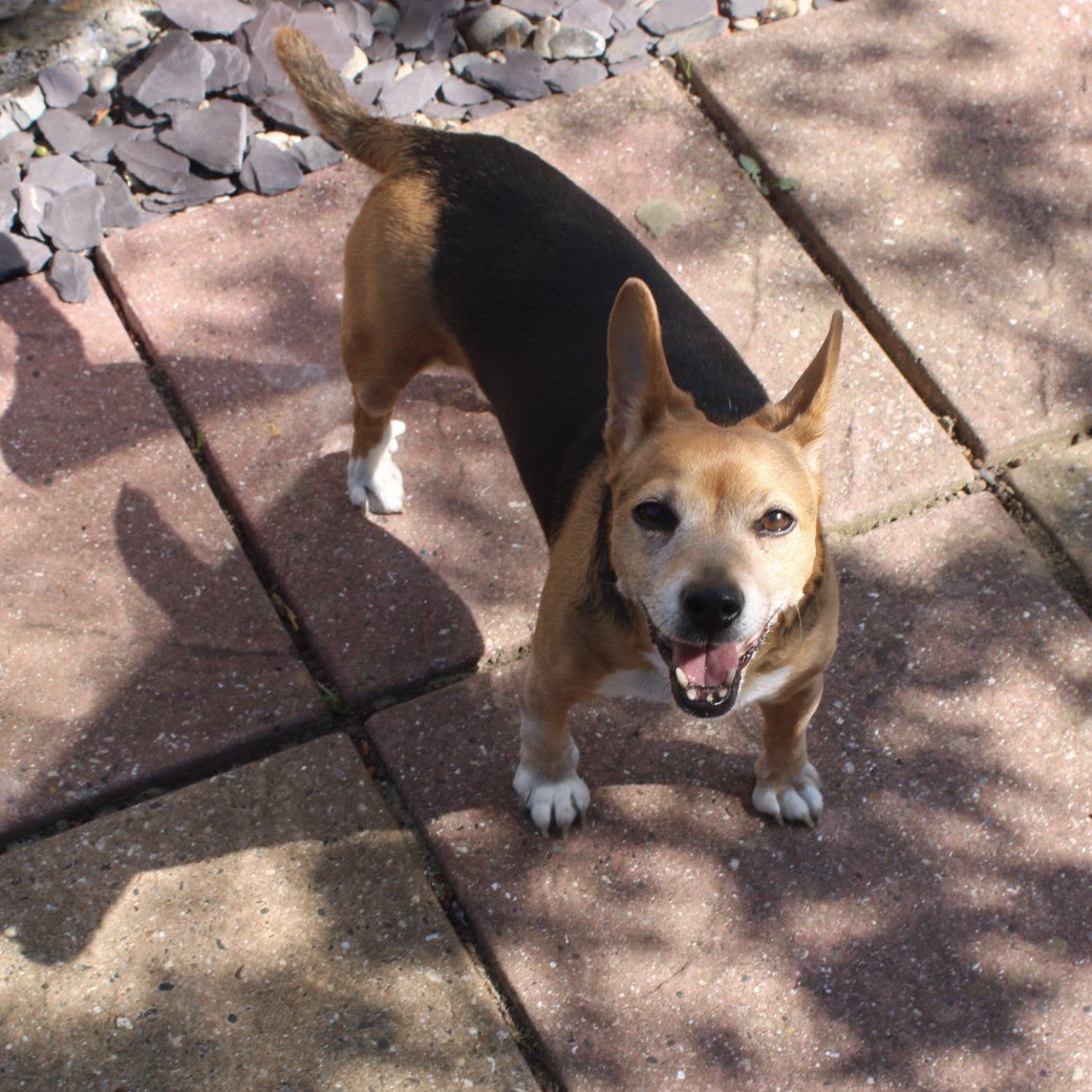 taking pics of my little girl 📷