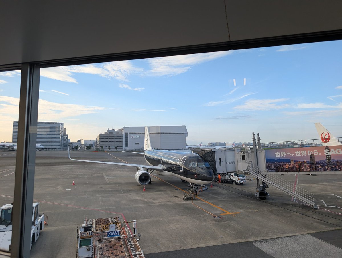 いい朝だね。
福岡に帰るよ