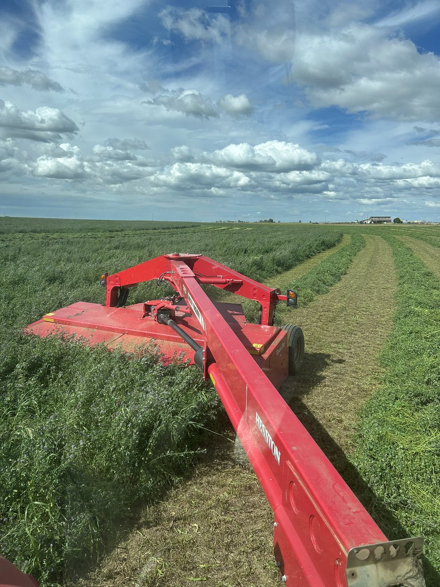 Time to knock some 2nd cut hay down. <a href="/AlbertaAg/">Alberta Agriculture and Irrigation</a> #ranchin