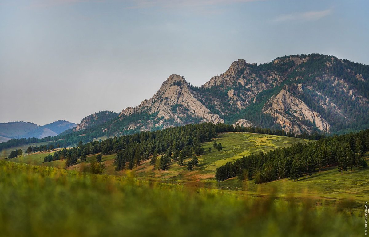 Өглөөний мэнд

Бүтэн амрах өдрөө Гэр бүл үр хүүхдүүдтэйгээ агаар салхинд гарч ая тухтай өнгөрүүлээрэй.