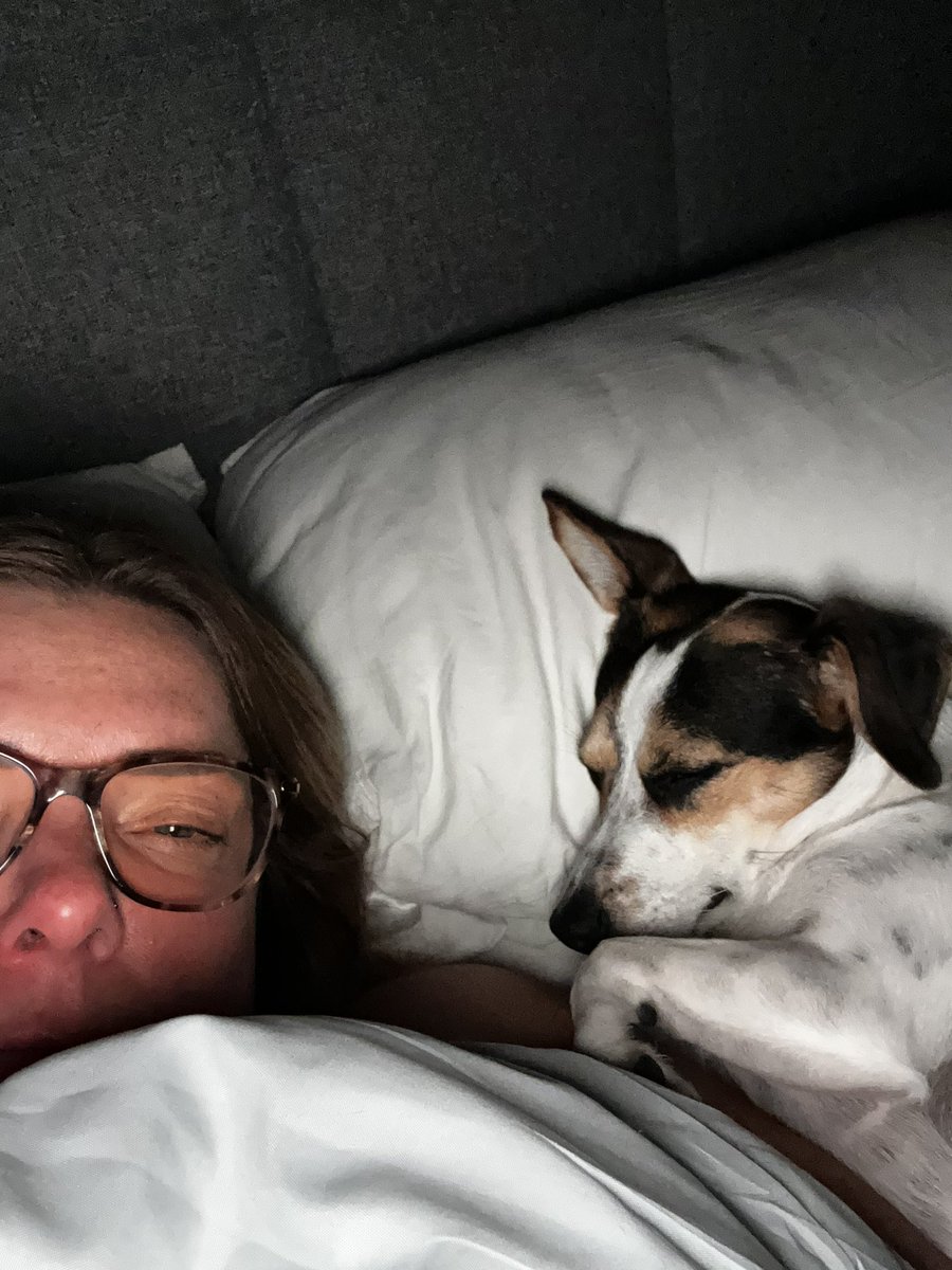 Cla1reGr1ff's tweet photo. @TRobinsonNewEra This is how to treat a dog ❤️ https://t.co/qvvr5cSaFq