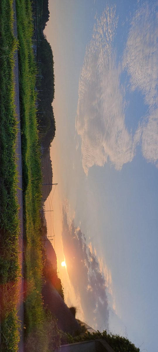 良い朝です。