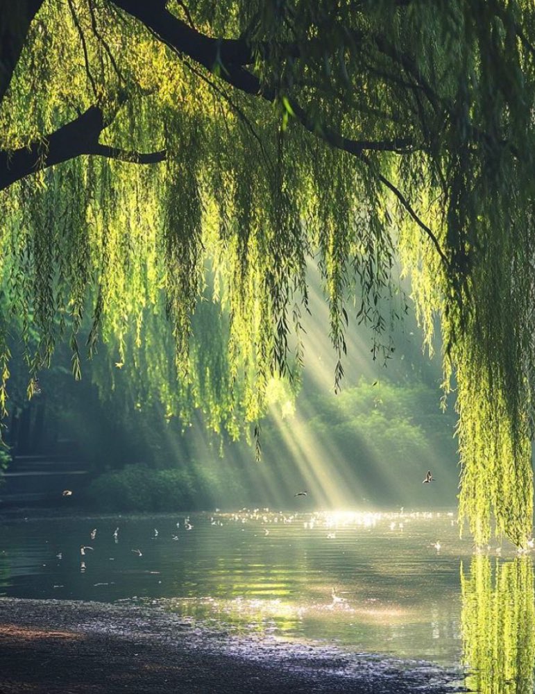 Sitting under a willow tree
Sunbeams threaded like pearl beads
Tangled in the fallen leaves
Our love imprints on the grass
My blushed dreams rise with the
Height of the crescent moon
The north star follows our every move
Kiss me until tomorrow
Trickles from the hidden bliss
~j.d.