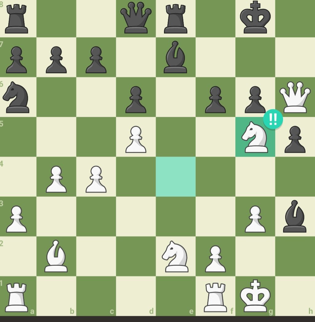 KillSteenKill33 tweet media