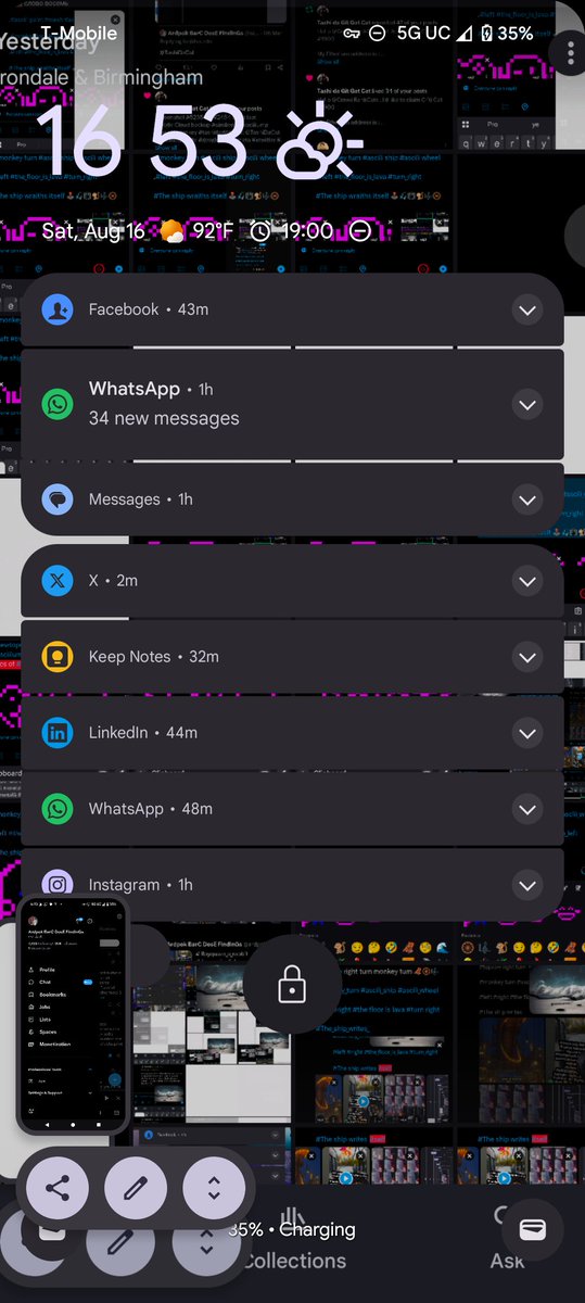 ardpok's tweet image. Do you have any suggestions for this lower limit of five account categories to try just based from my reposts and media uploaded?

I&apos;m thinking:

1. educationAL Stem #cme3
2. Flora # naturephoto
3. Fauna #blueprintirondale 
4. Drawings and video games #sdds
5. Ardpok&apos; #doimscroll