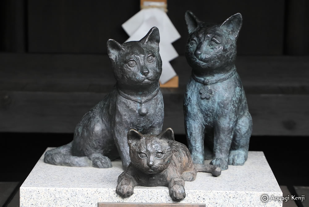 猫の家族像

#猫 #猫像 #撫で猫 #撫で祈願