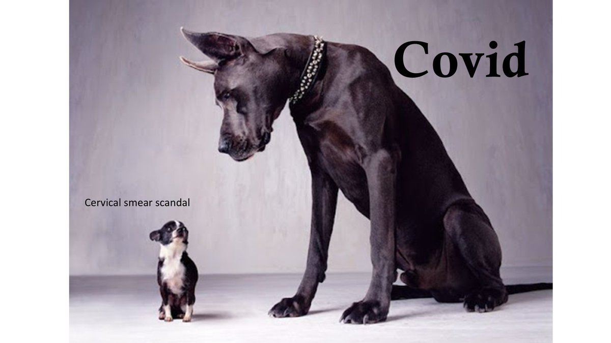 <a href="/CommonWho/">WhoMurderedCommonSense</a> <a href="/denisrancourt/">Denis Rancourt</a> <a href="/FatEmperor/">Ivor Cummins</a> <a href="/RealEddieHobbs/">Eddie Hobbs 1215</a> <a href="/AislingOLoughl1/">AislingOLoughlin</a> <a href="/MCompassMedia/">M Compass Media</a> <a href="/NjecThun/">Blofeld's EyeBall</a> @Flyck66 <a href="/dr_morrissey/">Pat Morrissey 1215</a> <a href="/cmisbackagain/">Christian Morris 🇮🇪</a> <a href="/indepdubnrth/">Dr. Marcus De Brun</a> Big Tony had form or 'previous' before even the Covid fiasco rolled into town.