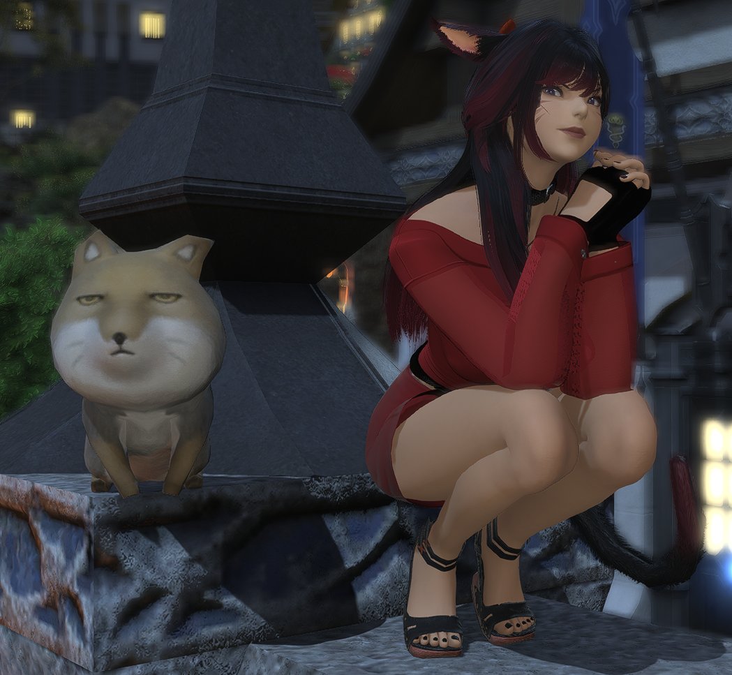 First pose I ever made! (Ft. Her ever constantly judgey companion) Might make more! I haven't decided.

#FFXIVScreenshots #ffxivsnaps #miqote #GPOSERS