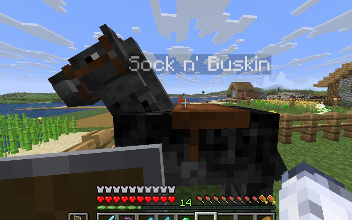 uma got me feelin like raising horses but im broke af so im doing it in minecraft.
right now i got Devious Lick and Sock n' Buskin (like Balatro). they kinda dont do anything but chill and help me harvest sand. proud of them tho; shows my ability to stay ethical in this game.
