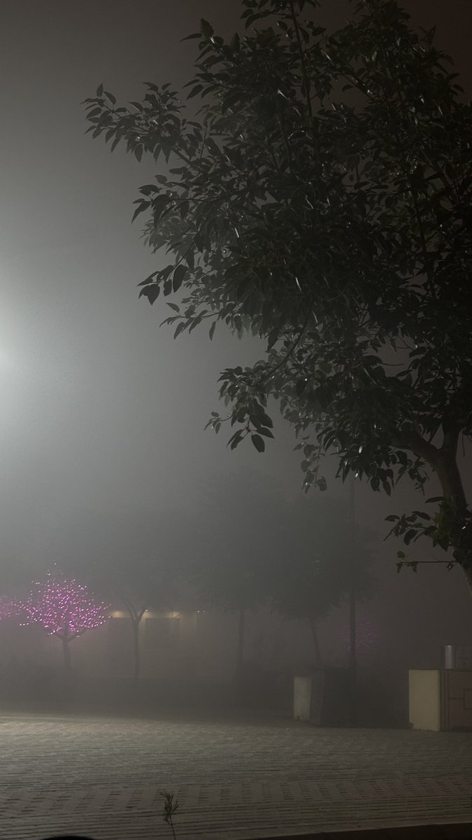 ليالي الباحة🤍🤍.