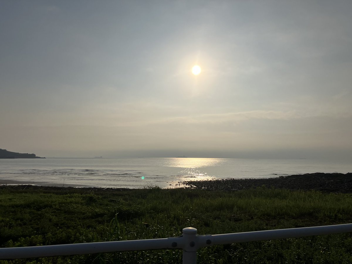 海