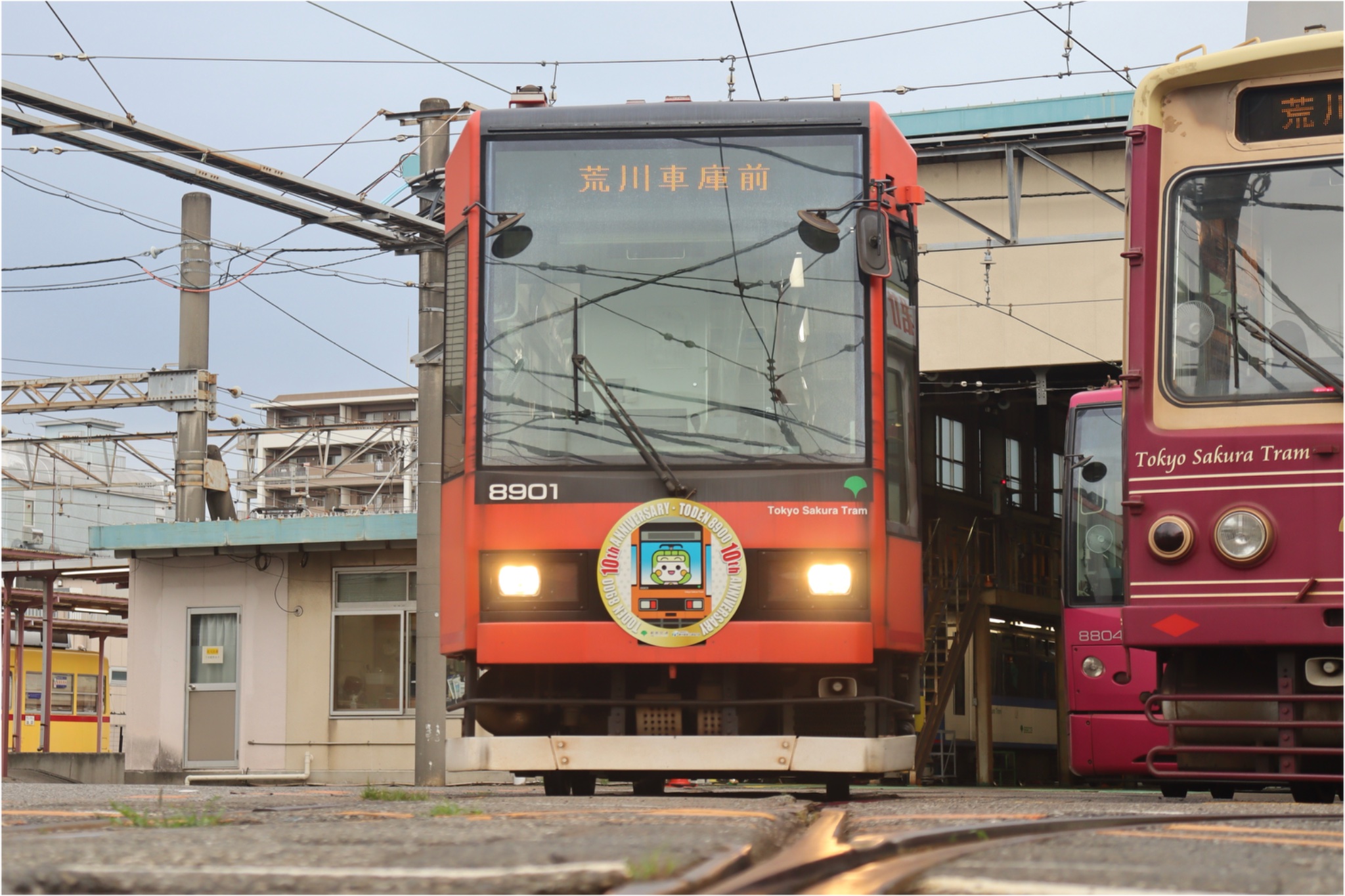 荒野 舎人公園民 on X: 