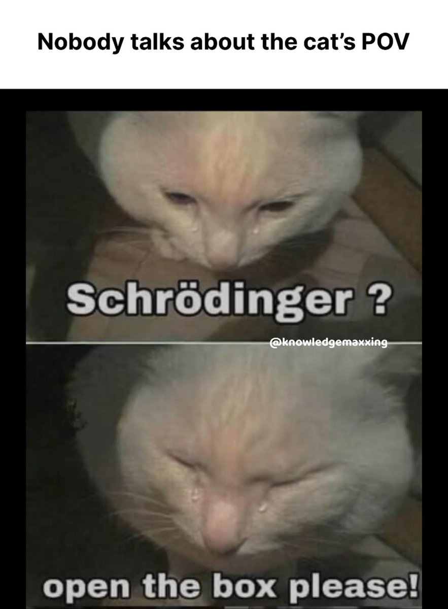ThePhysicsMemes's tweet image. Everyone asks if the cat is, now how the cat is... #quantumphysics