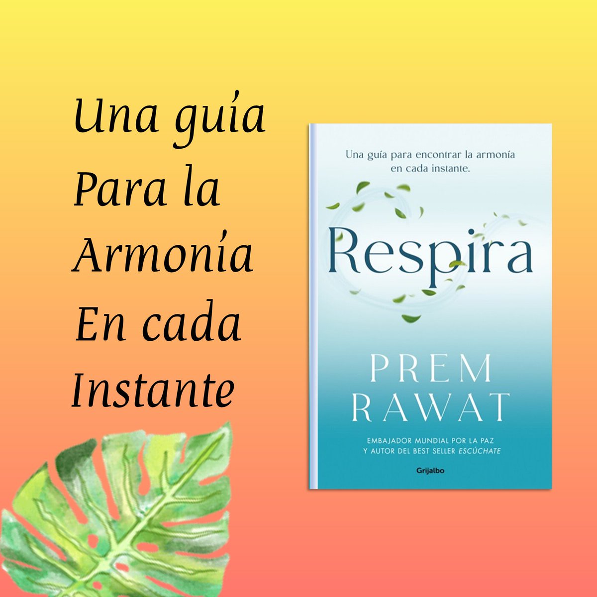 *Encontrar Armonía es un deseo común. Nuevo libro “Respira” recorre las líneas para encontrarla. bit.ly/3Ea8Jgd #LeoRespira #peaceispossible #Infpeace #PremRawat