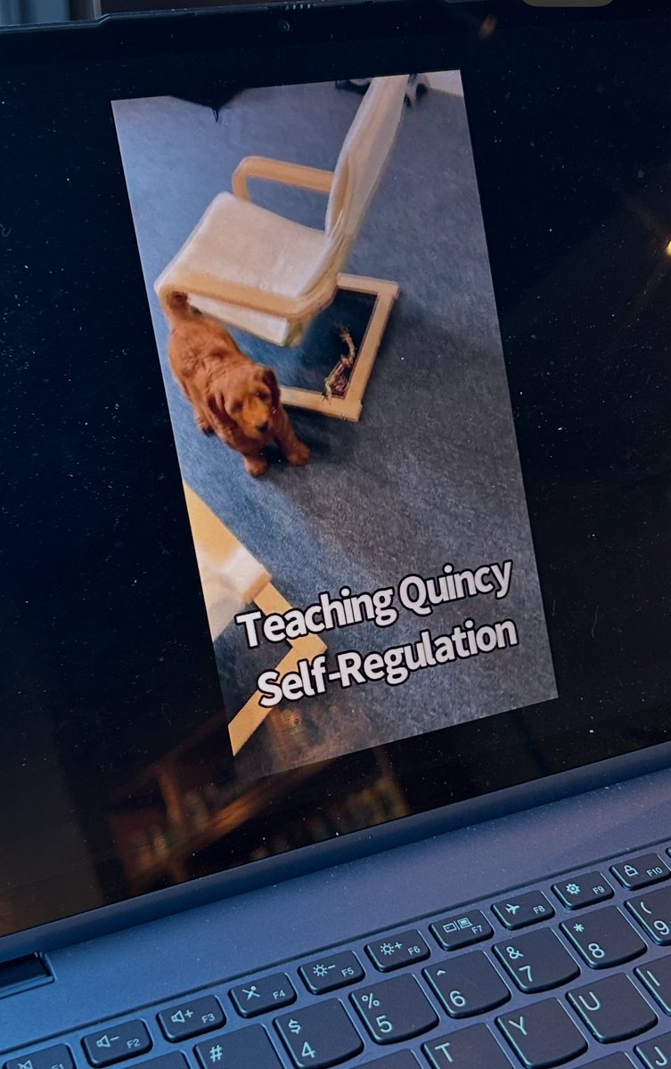 Christian Bellissimo tweet media