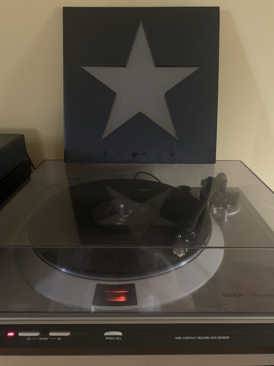 Lynn Spina tweet media