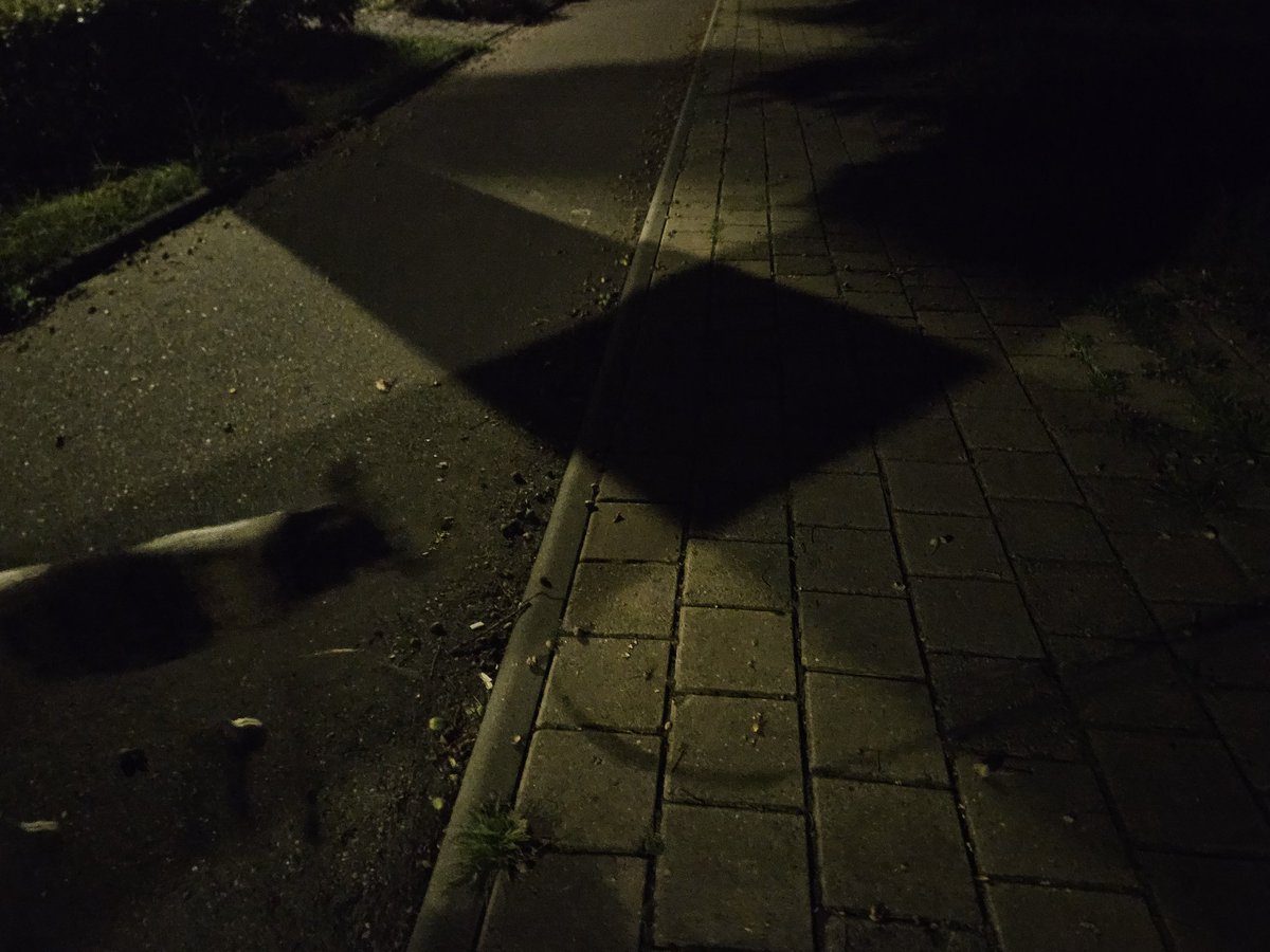 Fikkie uitlaten. Dorpstraat.