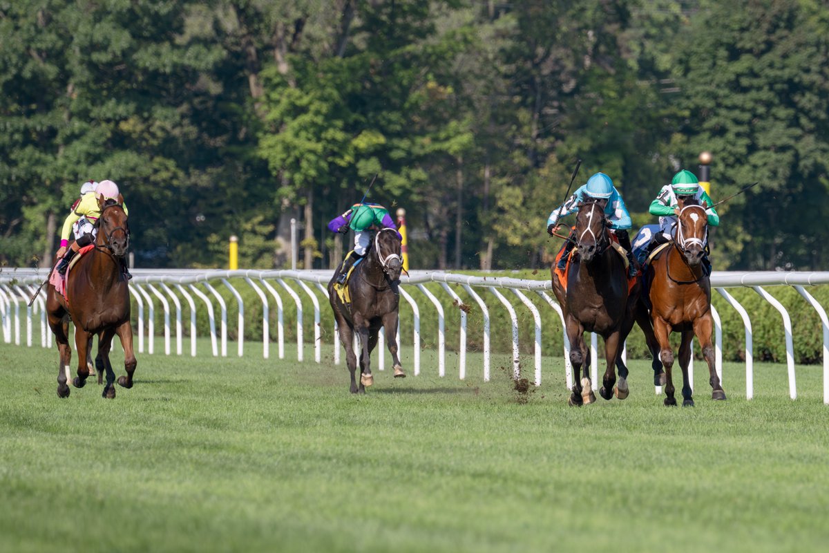 Erica Miller tweet media