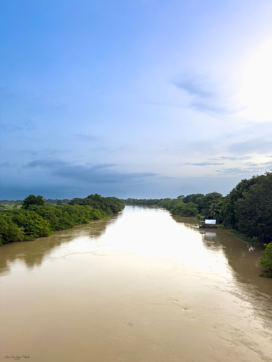 78 km de bosque de galería restaurados y cuidados desde 2006 en la cuenca baja del #Sinu. Un trabajo silencioso, sin héroes ni heroínas, con el sudor colectivo de muchas comunidades locales. Gracias al trabajo constante de <a href="/asprocig/">• A S P R O C I G •</a> estos paisajes de hoy son posibles.