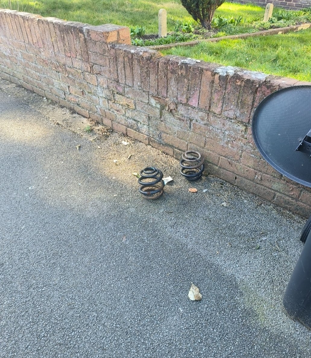amziepan's tweet photo. Went on a walk today and found some new Pokémon pals 🐽 https://t.co/vvcFakEk4e
