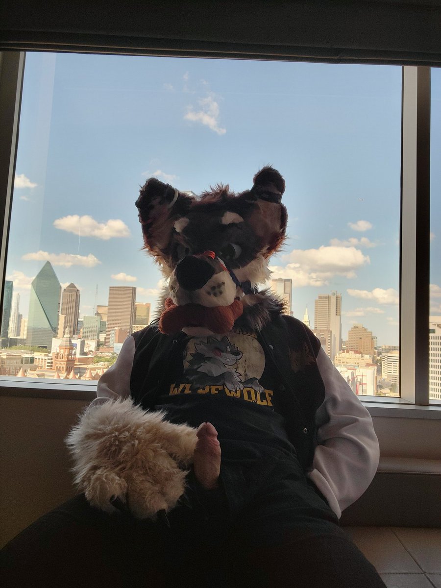 GearMajor's tweet photo. Hello Dallas https://t.co/dHeUe88Lm0