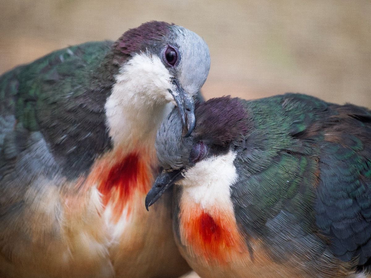 to love is to trust with all your heart