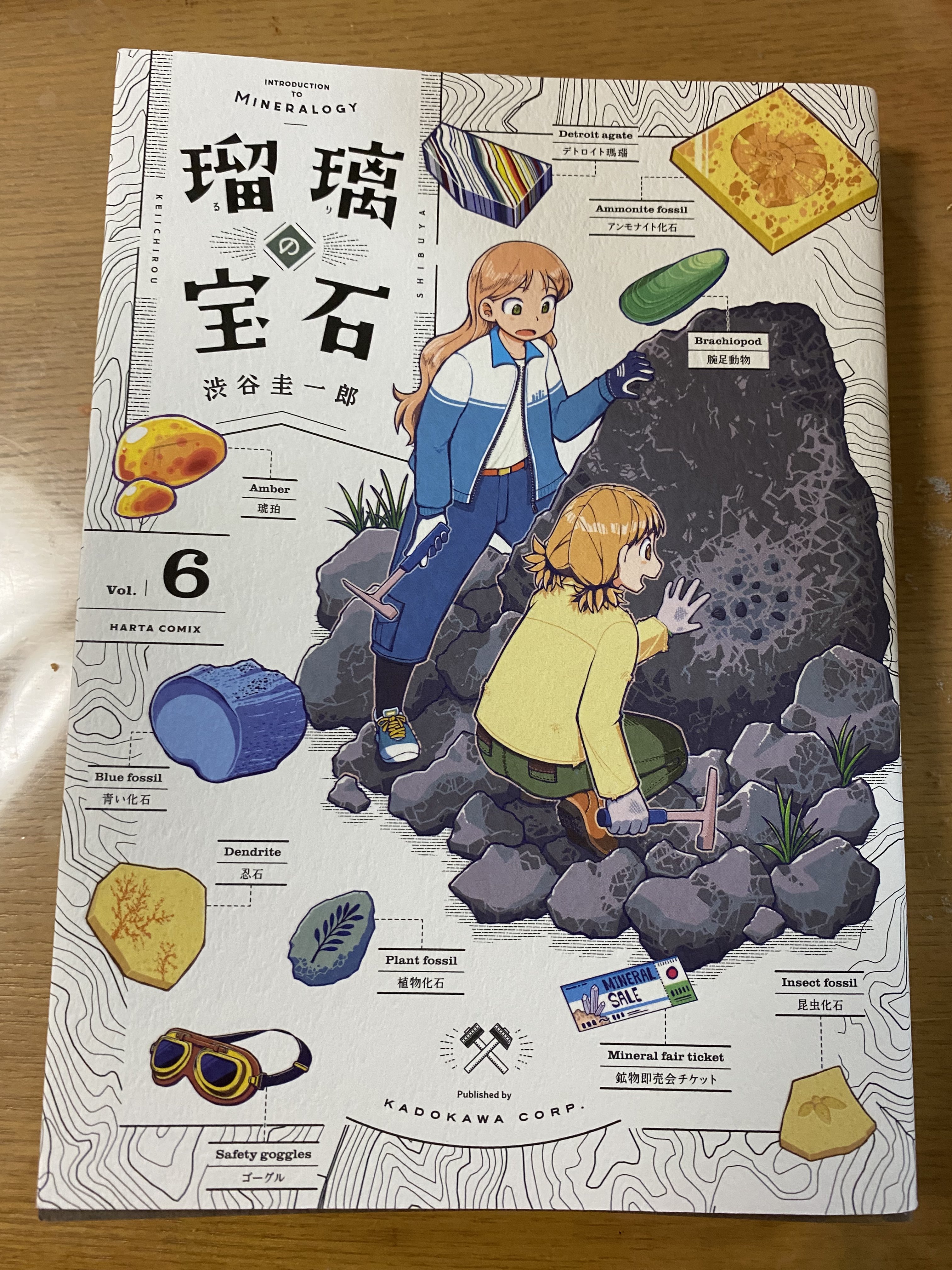 ★ 昭和3年 波乱重畳 幕末以降重要史談 ★ Amazon.co.jp: 幕府軍艦「回天」始末 (文春文庫 よ 1-57) : 吉村