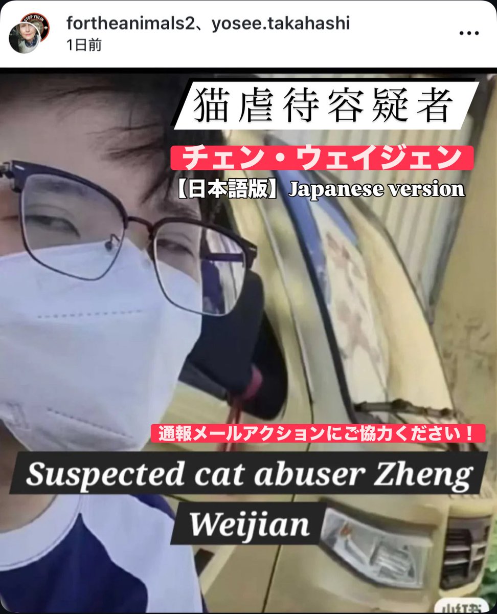 Feline Guardians without borders Japan (@FGuardiansJapan) / X