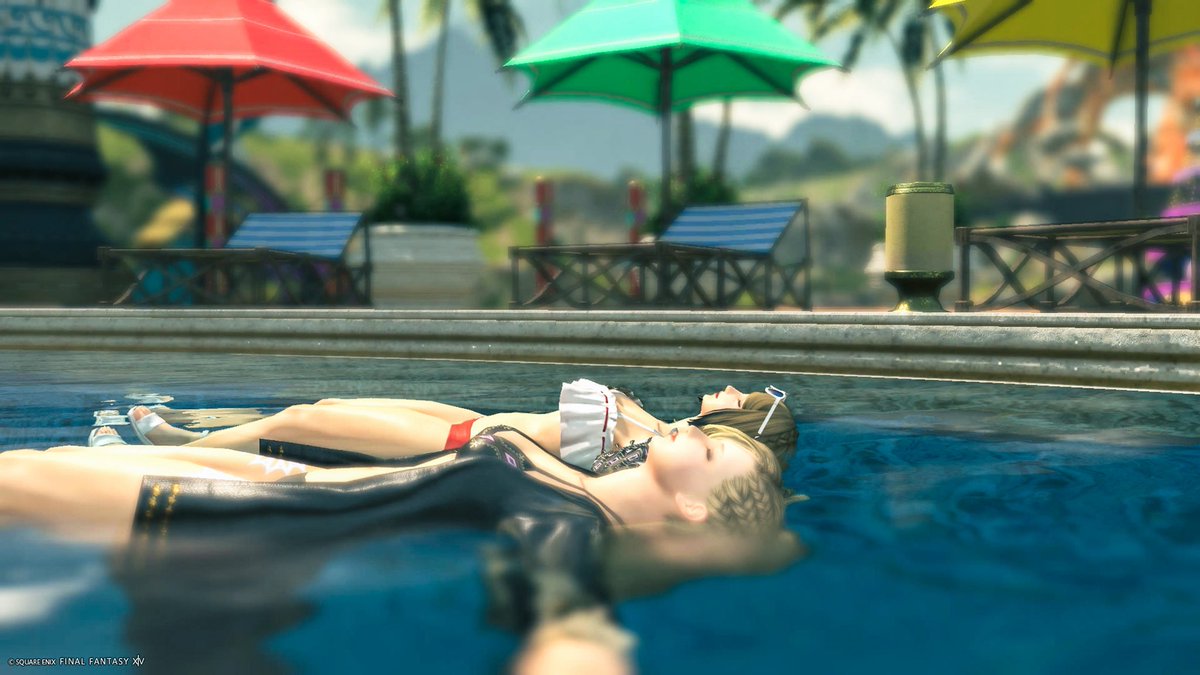 ⭐︎みゆう⭐︎のびねこ他⑤ yomo_🐕🦆 (@yomomoyo06) / X