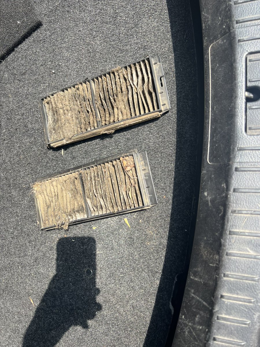 JohnDoe🃏 tweet media