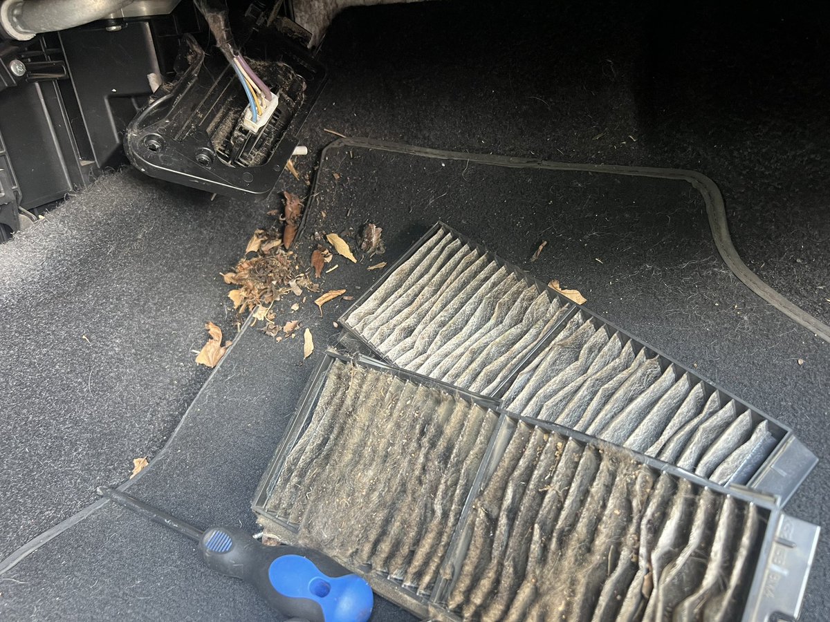 JohnDoe🃏 tweet media