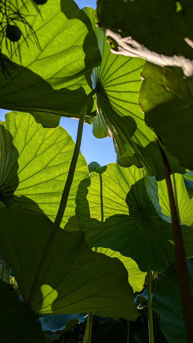 Brian Beckford (@bbeckfordphd) on Twitter photo 