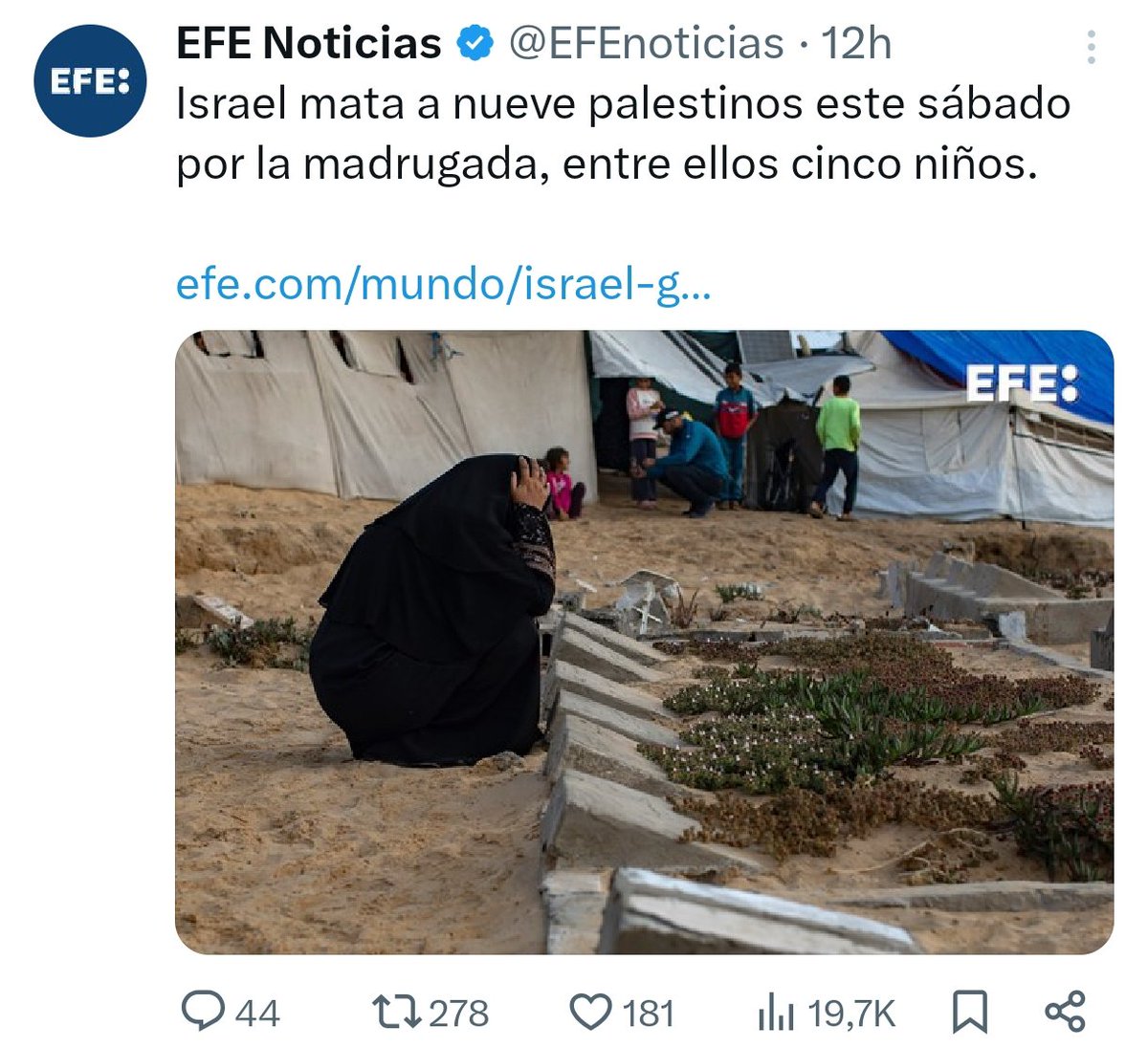 SinanPacha tweet media