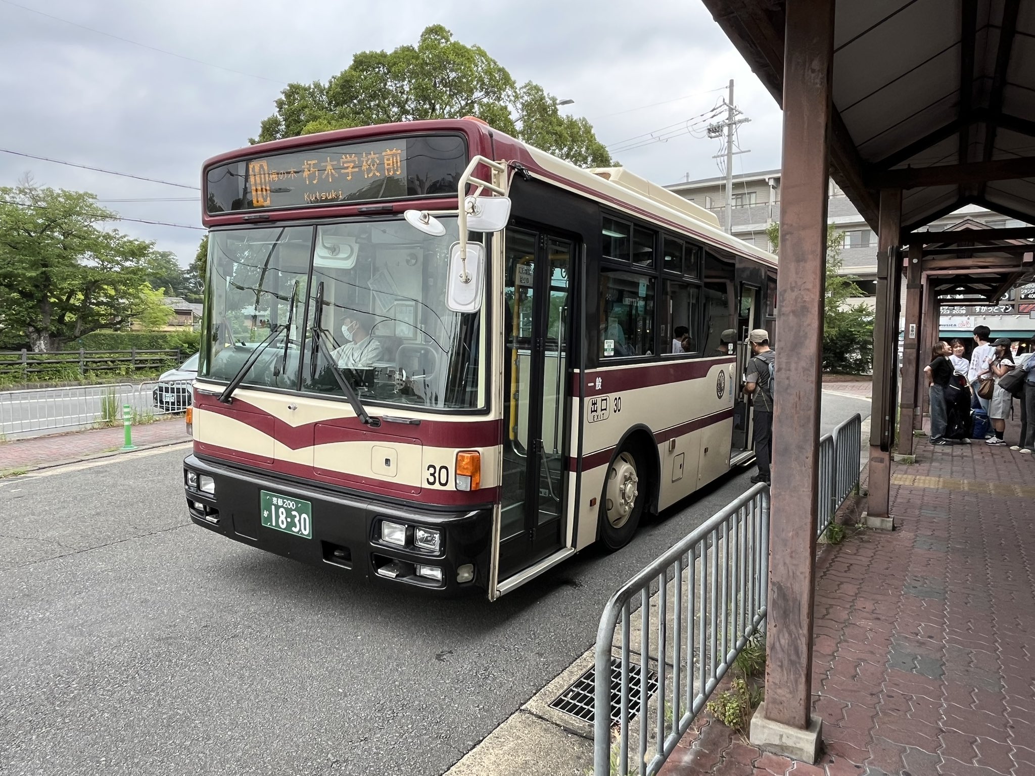 ツユ あのバス まとめ売り 71G6GLSbwkL._UF350,350_QL50_.jpg