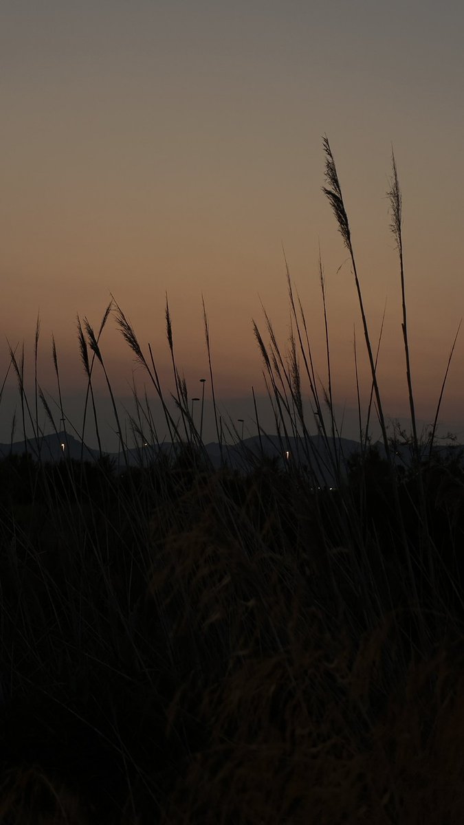 Alejandro 🧸 tweet media