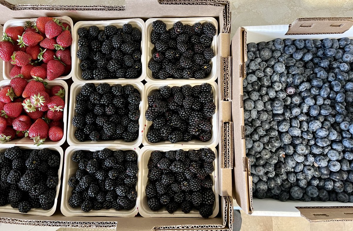 Our haul from the local berry farm

Kids had fun picking berries

Now they are excited to eat them in smoothies, on yogurt etc

Include kids in shopping for healthy foods &amp; they will be more likely to eat healthy