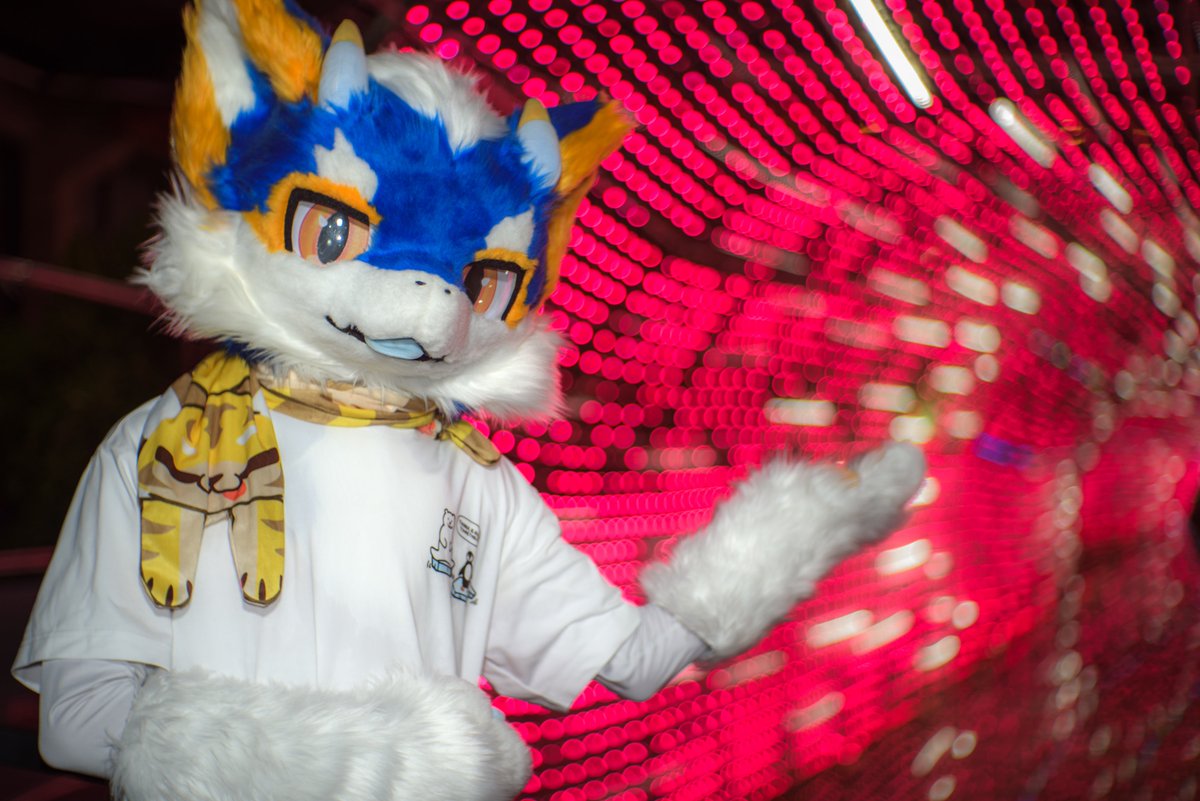 #FursuitFriday

如果重返过去，能否不留遗憾拼凑出完整的答案

📸芒果