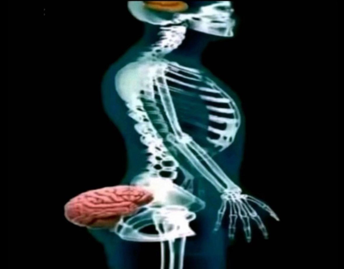 Average windows user