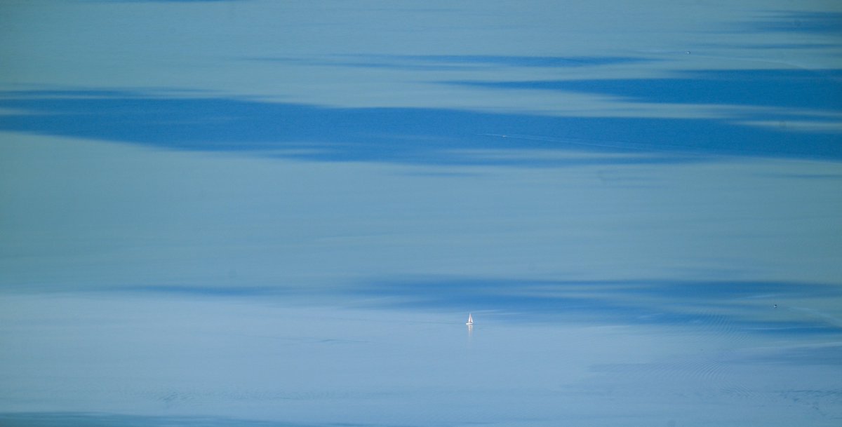 Taken from the Buffalo Peak Tlr. It looks like the sailboat is floating in the sky. It's actually on Utah Lake, of course. 
@utahlake @utahlakeboaters 

#sailing #sailboat #utahlake #lakelife #photography #utphoto #mountains #hiking #outdoors #utwx @utahisawesomeofficial