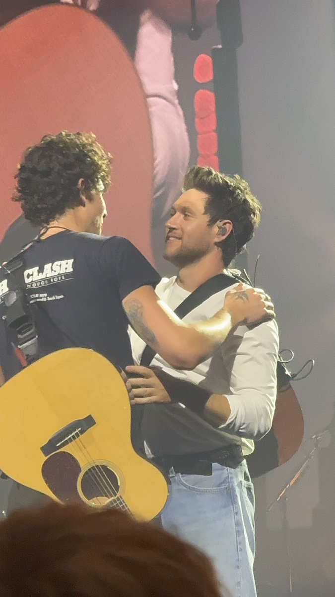 PlaceFor1Dfans's tweet photo. Niall Horan and Shawn Mendes at a show from #OnTheRoadAgainLondon  in the O2 arena https://t.co/jWIz74bM7V