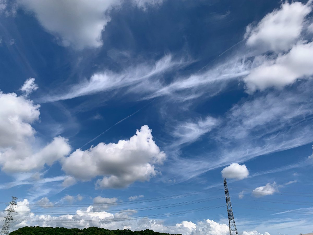 inaba_n08's tweet photo. ☁︎︎*.𓈒𓂂𓂃◌𓈒𓐍☁︎︎*.𓈒𓂂𓂃◌𓈒𓐍☁︎︎*.𓈒

⟡.·*.おはよぉーᵕ̈*☀️⟡.·*.

めっちゃ爽やかな空だけど朝から蒸し暑いよセミも鳴いてる𓆦ෆ.*･ﾟ

今日も暑くなりそう！

水分補給忘れずに🥤 https://t.co/qmAfIVlbX1