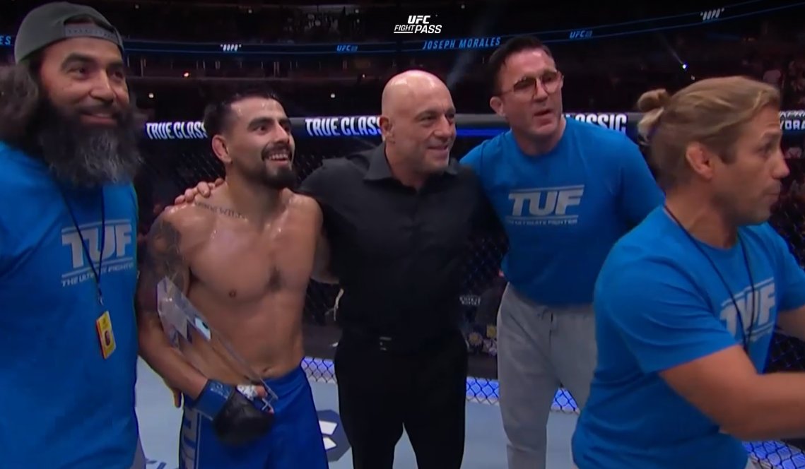 Still Undefeated. Chael P Sonnen.