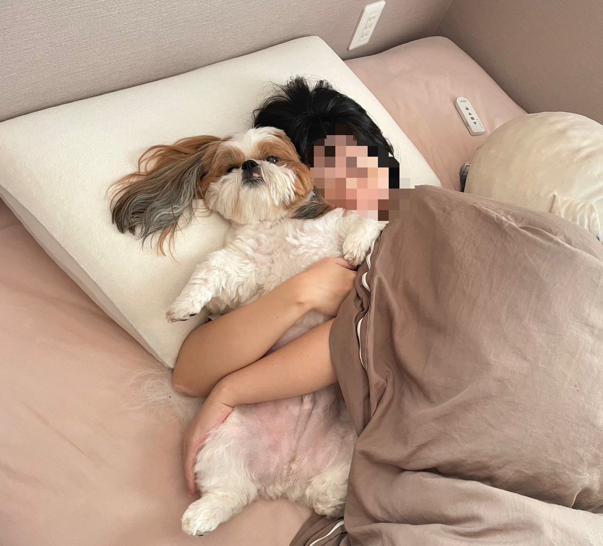 ママを起こしにきたのに、あっけなく捕まっちゃって絶望してるぽこちゃん