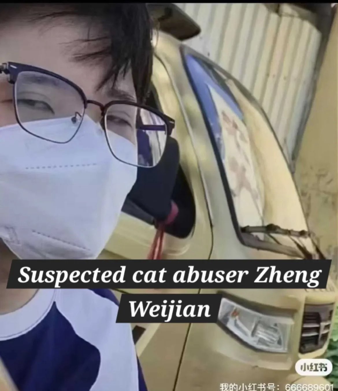 Feline Guardians without borders Japan (@FGuardiansJapan) / X