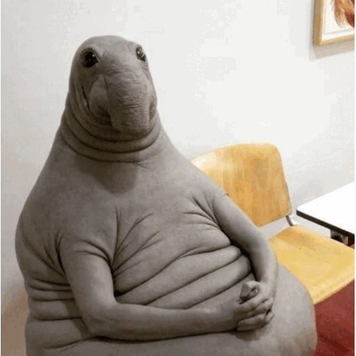 Nate (@natexdde) on Twitter photo 