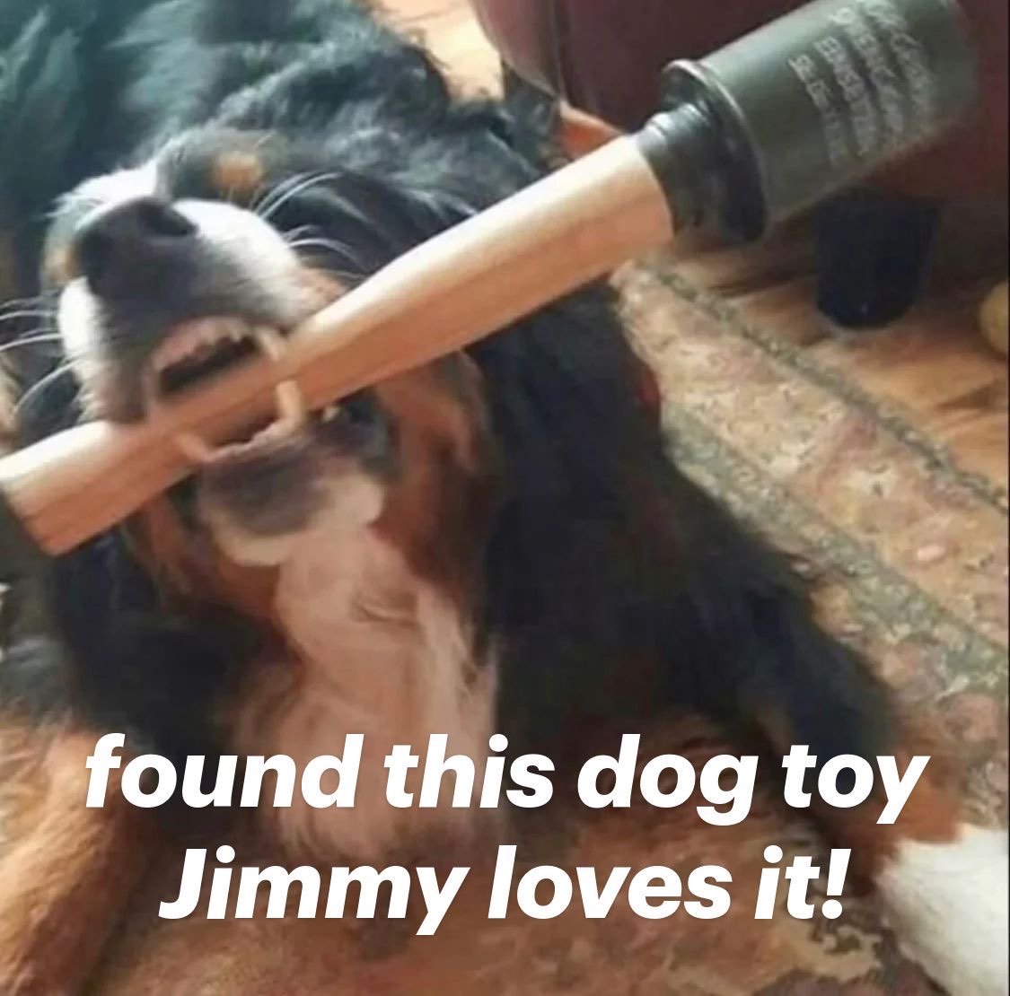 NO JIMMY